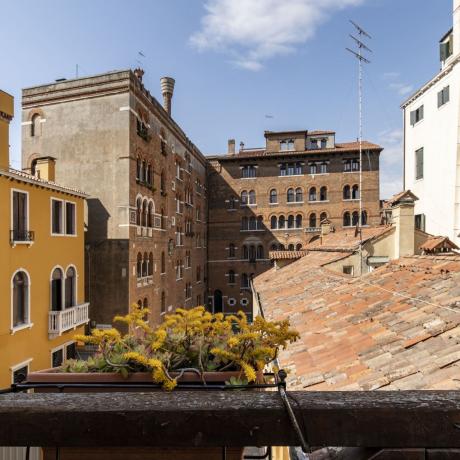 CORTE DELL'ALBERO