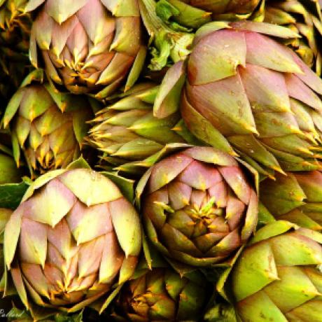 artichokes