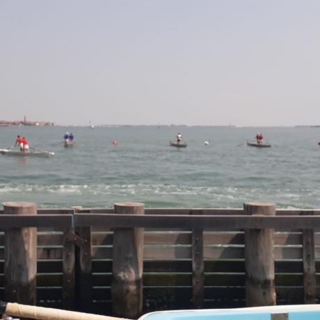 A Venetian rowing regatta in Venice