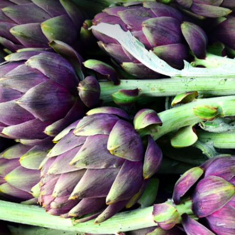 Artichoke festival