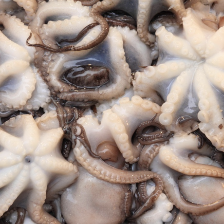 Fishmarket