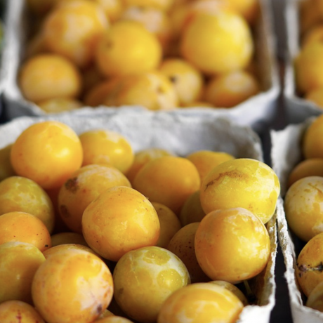 Yellow plums