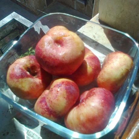 Donut peaches