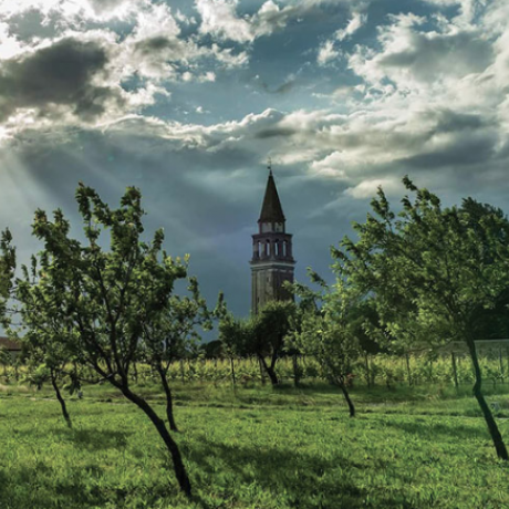 The charming countryside at Mazzorbo island